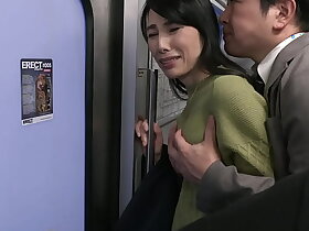 人妻痴漢電車～さわられた五十路母～　鶴川牧子